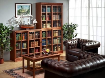 Домашняя библиотека с книжным шкафом
