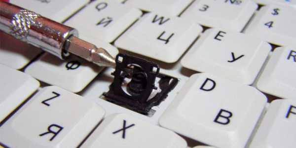 Ремонт клавиши кнопки клавиатуры ноутбука