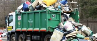 Большие вещи — большой вызов: как правильно организовать вывоз крупногабаритного мусора
