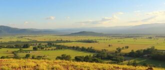 Танзания ждёт: сафари, Занзибар и тур, который реально запомнится